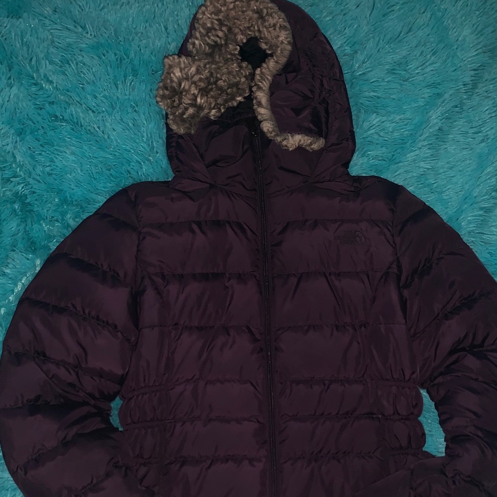The north face puffed coat